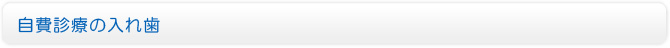 自費診療の入れ歯