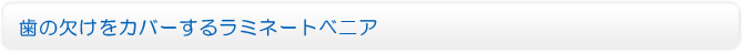 歯の欠けをカバーするラミネートべニア
